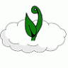 beanstalk