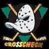 crosscheck