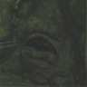 trog081