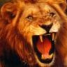 lionking_kg