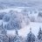 Dasha_21