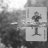 kosha_