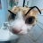 julietw_16
