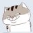 chieu
