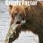 BearPlay