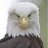 Txpokerlover