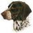 1Birddog