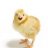 Robochick
