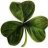 PaddyWhacked
