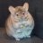 1FatChinchilla