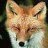 Camperfox