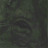 trog081